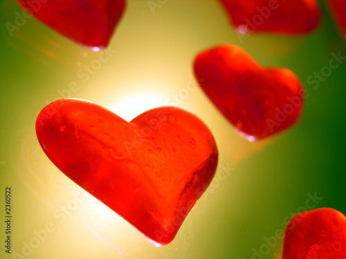 Foto: little hearts 1 little hearts 1