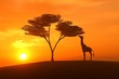 giraffe asunset