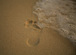 footprint