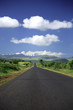 mount kenya