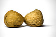 walnuts walnuts