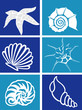 marine life