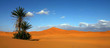 sahara -  maroc