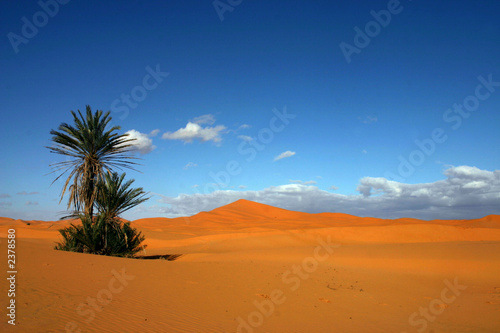desert desert