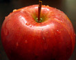 fruit fruit