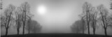 winter trees - Fine Art prints