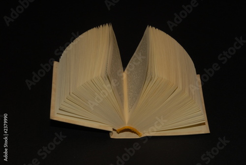 libro due
