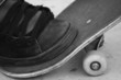 skateboard with shoe