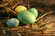 eggs in the barn