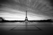 eiffel at dawn - black & white