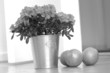 blume