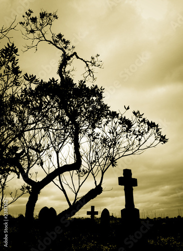 Photo: lonliness lonliness