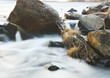 the dairy river
