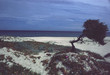 spiaggia platamona
