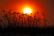 Image : winter sunset