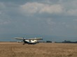 airplane in the field