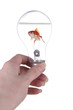invention
