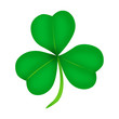 shamrock shamrock