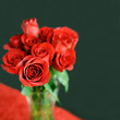 the perfect rose