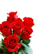 red rose bouquet red rose bouquet
