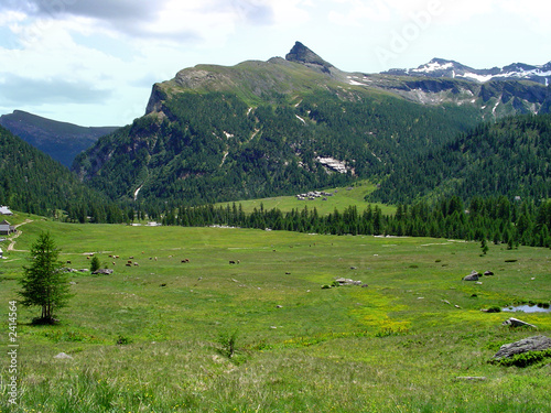 alpe veglia, comune varzo (verbania)