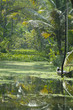 backwaters kerala