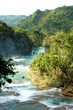 cascade agua azul mexique 1
