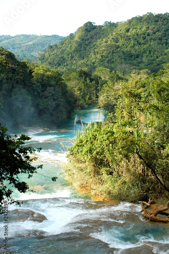 cascade agua azul mexique 1