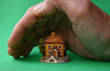 the small plastic house