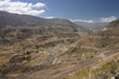 cañon del colca