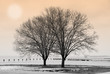 winter by the lake