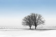 winter by the lake