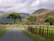 winding road winding road