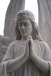 concrete angel