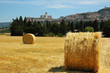 assisi4