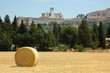 assisi3
