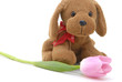 small doogy toy with flower
