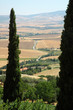 pienza2