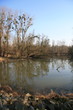 rheinwald