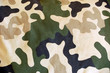 camouflage pattern #4