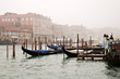 venice fog