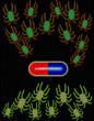 bugs attacking anti-virus pill