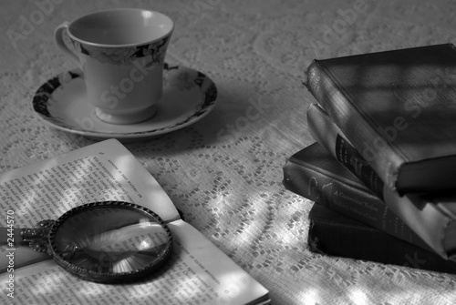 reading by sunlight