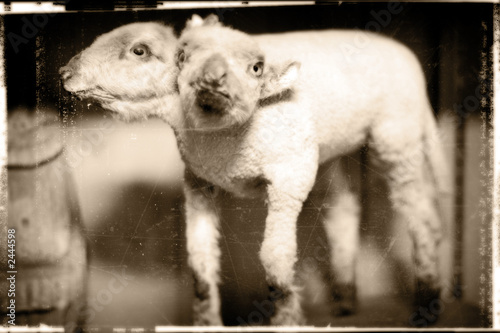 Photo: genetics genetics