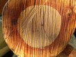 baumstück - baumabschnitt - zersägt