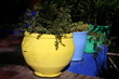vasques de majorelle