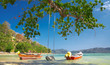 boats  and  swing