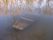 gesunkenes boot im altrhein
