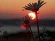 coucher de soleil coucher de soleil