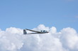 segelflieger